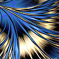 Peacock Tail Feather